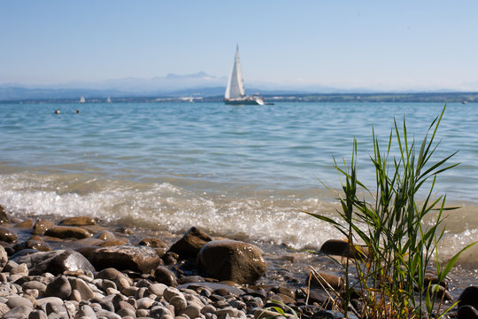 Shore of Lake Constance with view on the alps