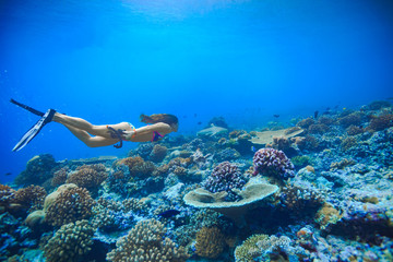 Naklejka na ściany i meble Female sport model swimming with blacktip reef shark over corals in Maldives. Deep blue water of Indian ocean. Marine background with fish