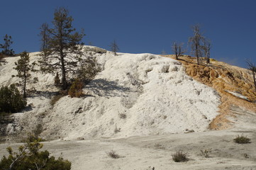 Yellowstone Nationalpark