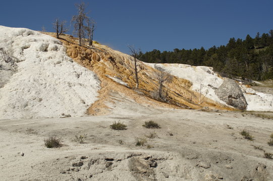 Yellowstone Nationalpark