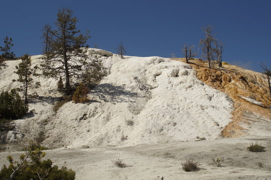 Yellowstone Nationalpark
