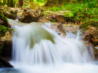 Natural scene of Milky white waterfalls with green surrounding