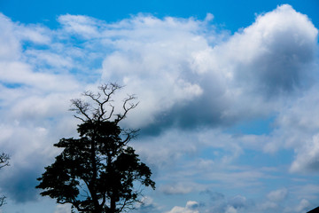 Arkansas Sky