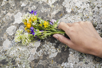 women's hands holding wild flowers