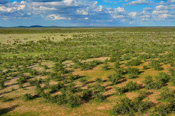 Namibia Etosha national park savanna