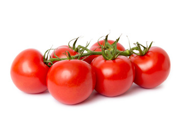 Tomaten auf weißem Hintergrund 