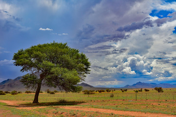 Namibia gravel road C27