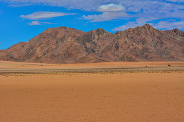 Fototapeta na wymiar Namibia gravel road D707
