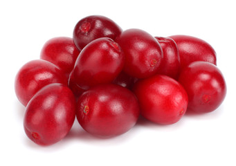 dogwood berries isolated on white background