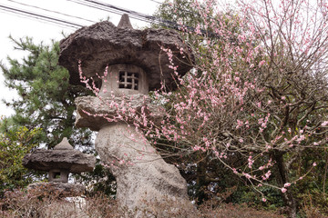 Kirschbl&uuml;te, Stein-Dekoration, Garten, Japan