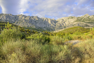 View of the rocky mountain.