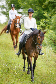 Two rider woman on horses going down from the hill. Equestrian summer activities background