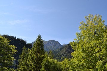 Alpes vue d'Allemagne près de Fussen