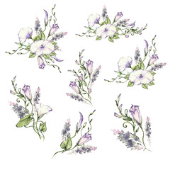 Convolvulus and leaves, watercolor, can be used as greeting card, invitation card for wedding