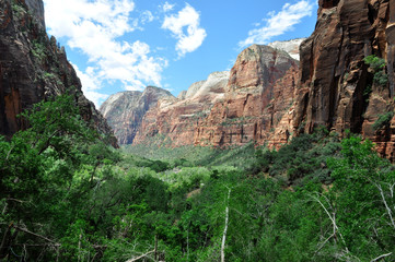 zion national park