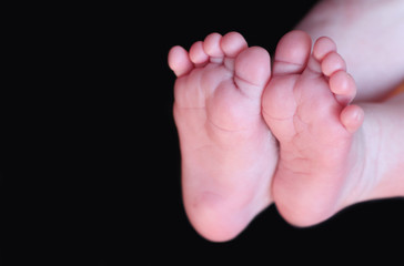 Fototapeta premium little barefoot of a newborn