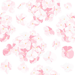 The pink hydrangea in the sky. Pink flower is vector for seamless, pattern and background.