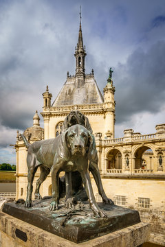 Chiens de meute