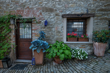 Fototapeta na wymiar Lerma, Piedmont, Italy - Outer corner with portals and antique windows with ornamental plants