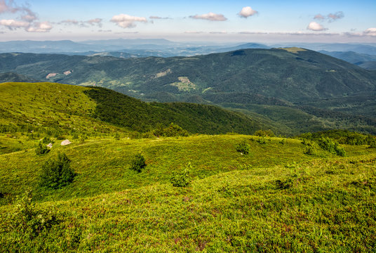 grassy hillside of Carpathian mountain range