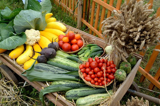 Harvest of vegetables and sheaf of ears on the vehicle