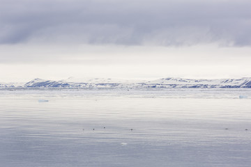 Fototapeta na wymiar Sea bay with a glacier and icebergs in Svalbard, Spitsbergen, Norway
