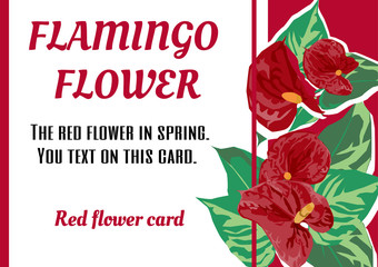 The red flamingo flower card design. The red flower vintage card is vector for card.