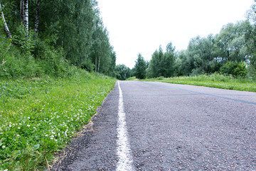 Fototapeta premium the road and the forest