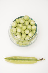 
Pea, (Pisum sativum)