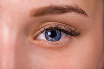 Obraz premium Female eye with long eyelashes close up