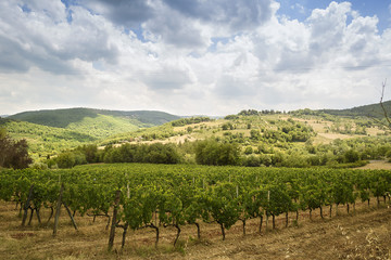 Fototapeta na wymiar Tuscany landscapes