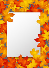 autumn maple leaves on a paper background