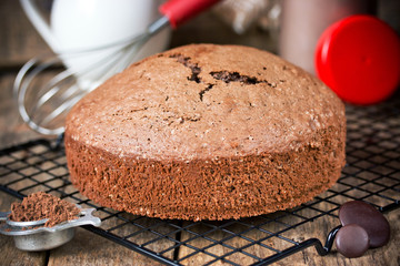 Chocolate sponge cake
