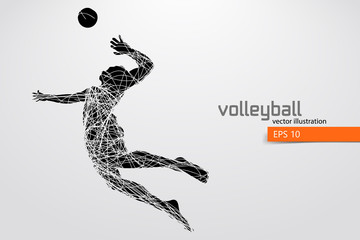 Silhouette of volleyball player.