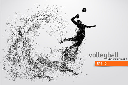 Silhouette of volleyball player.