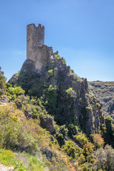 Fototapeta na wymiar ruins of Lastrous castle in France on top of the mountain on a sunny day with trees