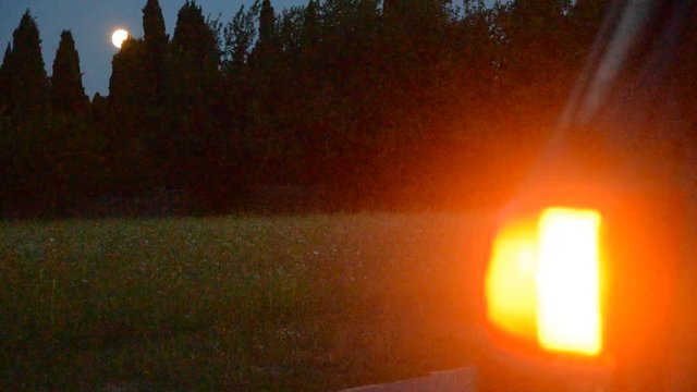 Eptacaidecafobia Хеллоуин &Chi;&alpha;&lambda;&omicron;&omicron;&upsilon;ί&nu; 할로윈 17 공포증 Eptakaidekaphobie Noć vje&scaron;tica video Noche de Հելոուին Brujas ליל כל הקדושים ハロウィン 