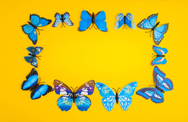 Blue butterfly on orange background
