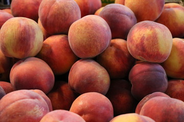 Freshly picked sweet peaches in summer 