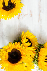 Yellow Sunflower Bouquet on White Rustic Background