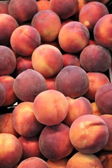 Freshly picked prunus persica at the market in Fremantle, Western Australia 