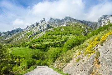 Fototapeta na wymiar Beautiful nature of Spain: Picos de Europa mountain peaks and tourist trails in summer sunny day with blue sky and clouds