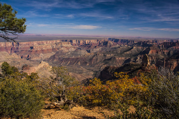 Grand Canyon from Cape Royal in the Fall
