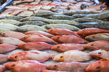 poissons dans un marché en polynésie, tahiti