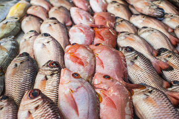 poissons dans un marché en polynésie, tahiti