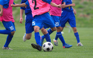 Fototapeta premium サッカー フットボール