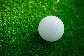 Golf ball with putter on green course. Selective focus