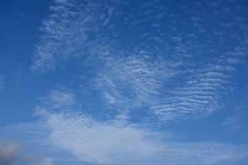 青空と雲とトンボ（彼方へと飛び去るトンボ）「空想・雲のモンスターたち（消えはじめたモンスターたち）」新たな旅立ち、ある夏の日、季節の移り変わり、思いをはせて、小さな幸福を求めてなどのイメージ