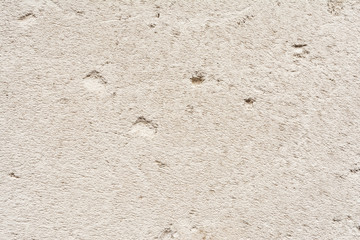 Texture of autoclaved aerated concrete block.