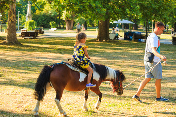 father take his little dother for a ride on pony horse in park